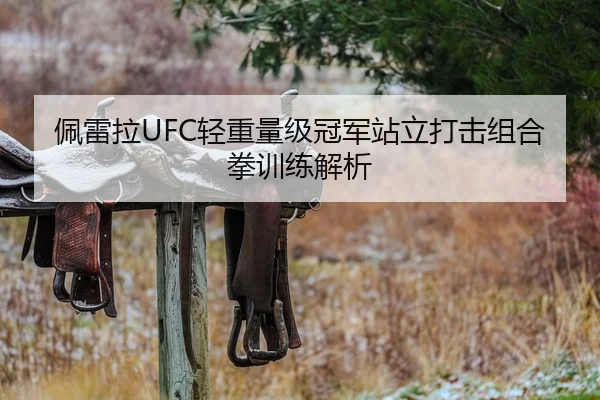 佩雷拉UFC轻重量级冠军站立打击组合拳训练解析